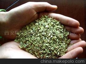 有机小茴香 绿色农业新选择，健康生活好伙伴