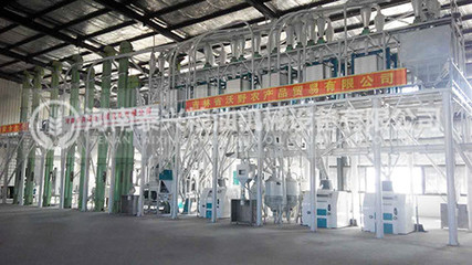 玉米面加工厂家 农产品价值链中的重要一环