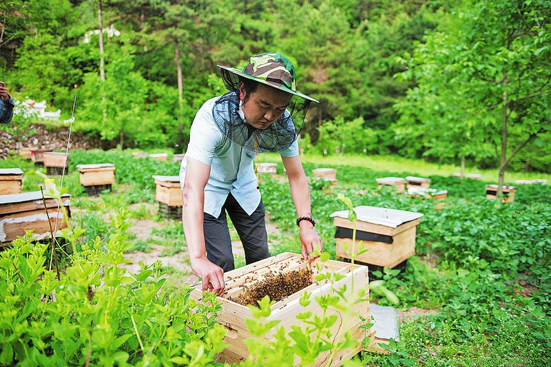 商洛农产品销往南京，农户增收有盼头
