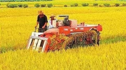 小农户如何快速融入现代化农业 从田间到生活日用品的一体化升级