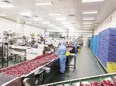 安阳旺旺 农业产业化结硕果 农产品产销两旺谱新篇